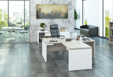 Кабинет руководителя ZION